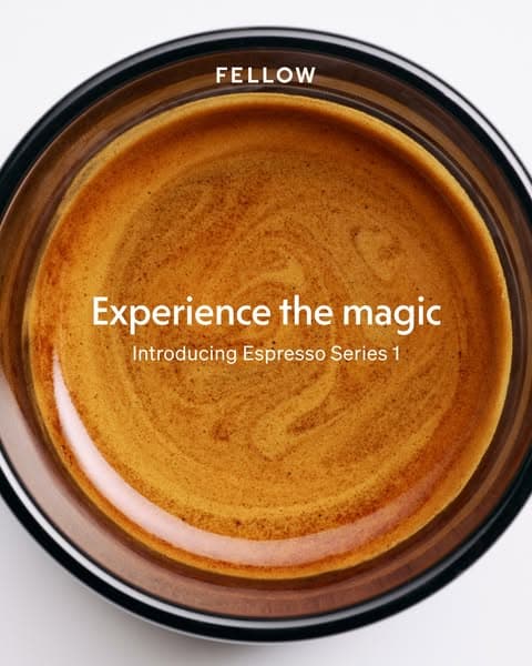 Fellow ad creative