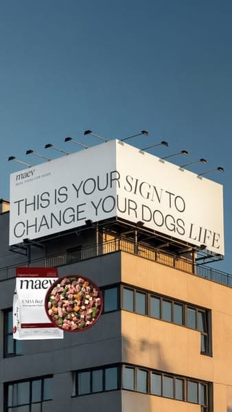 Maev ad creative