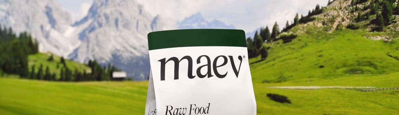 Maev cover image
