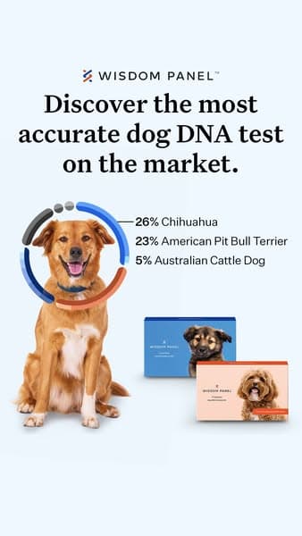 Wisdom Panel ad creative